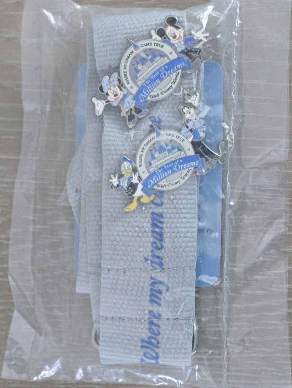 Disney Pin & Lanyard Set NEW SEALED Year of A Million Dreams Set